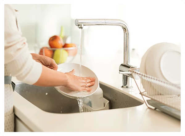 Dishes Category | Ecogenic